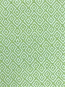 Nisha 206 Greenery Covington Fabric